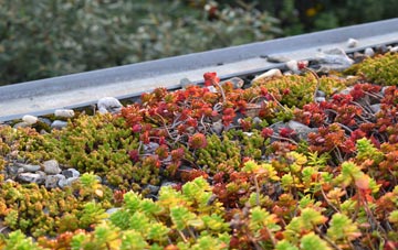 the cost of Barton St David green roof installation