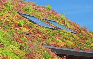 Barton St David living roof systems