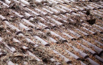 Barton St David roof cleaning companies