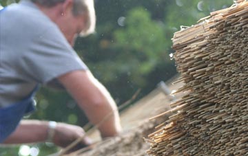 professional Barton St David thatchers