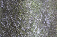 Barton St David fibreglass roof work